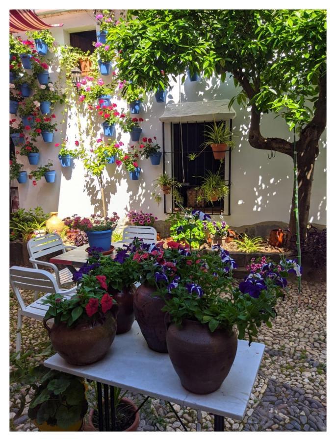 Herrera del Duque Casa Rural "Laplaza23" מראה חיצוני תמונה